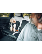 Szelki samochodowe dla psa Thule® Cappy – crash test, certyfikat TÜV