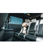 Thule® Cappy Dog Car Harness – Crash-Tested, TÜV Certified