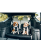 Thule® Cappy Dog Car Harness – Crash-Tested, TÜV Certified