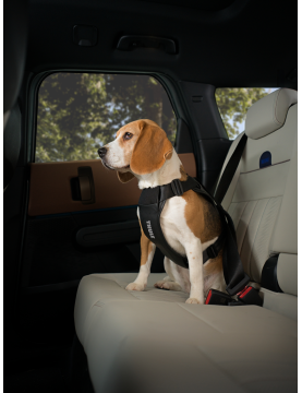 Thule® Cappy Dog Car Harness – Crash-Tested, TÜV Certified