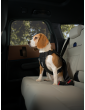 Thule® Cappy Dog Car Harness – Crash-Tested, TÜV Certified