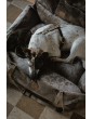 "Ero Soft" dog car seat Beige Lamb size S/M/L