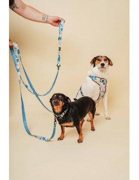 Double Dog Leash
