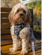Pressure-free harness for dog WestWOOF Story
