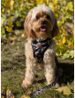 Pressure-free harness for dog WestWOOF Story