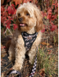 Pressure-free harness for dog WestWOOF Story