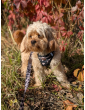 Pressure-free harness for dog WestWOOF Story