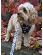 Adjustable dog leash WestWOOF Story