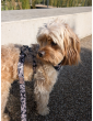 Adjustable dog leash WestWOOF Story