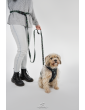 Dog leash with hip belt WestWOOF Story