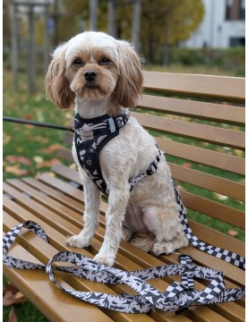 Pressure-free harness for dog WestWOOF Story