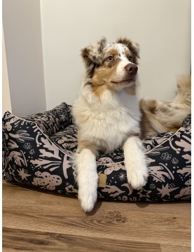 Moe dog bed WestWOOF story