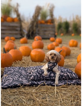 Costa legowisko turystyczne dla psa z poduszką kostką - WestWOOF story