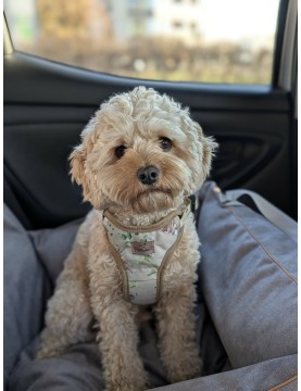 "Ero Soft" dog car seat VELVET water repellent LIGHT GREY size S/M/L WITH SEAT BELT