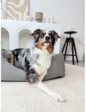 Lilo - orthopedic dog bed FoggyTail