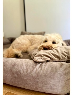 SONO Orthopedic Dog Bed Cover – RECYCLED VELVET – COLORS