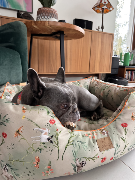 Moe dog bed COUNTRYSIDE size L