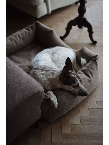 Lilo - Orthopedic Dog Bed SandPaws