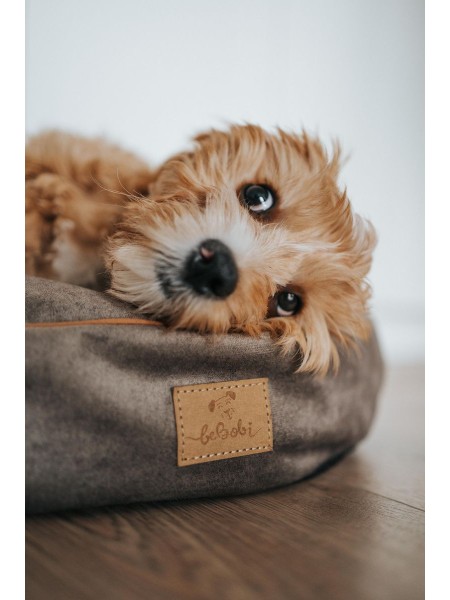 Round Dog Bed Cushion with Blanket size M, Velour Beige, Recycled | Second Paw