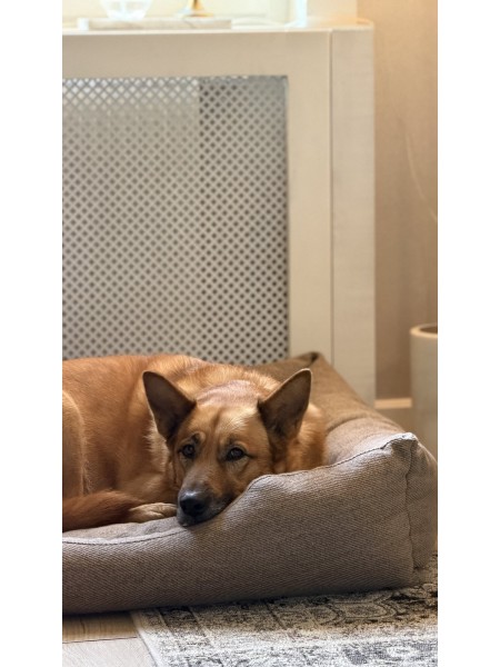 Moe legowisko domowe dla psa - PineWalk