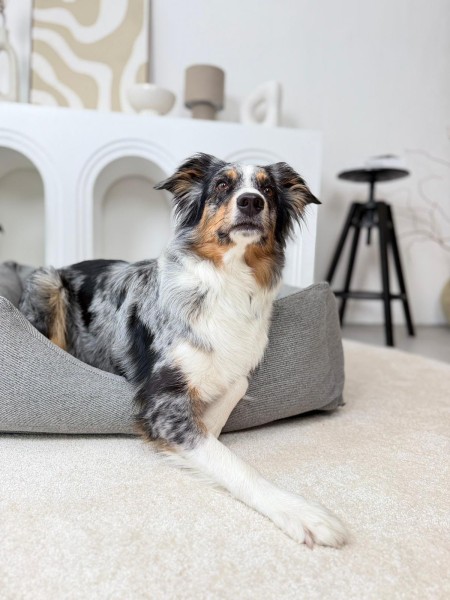 Moe dog bed Waterproof - FoggyTail