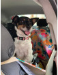 Dengu car seat cover for dog Hau are you summer WITH SEAT BELT