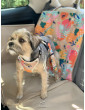 Dengu car seat cover for dog Hau are you summer WITH SEAT BELT