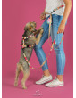 Pressure-free harness for dog HAU ARE YOU SUMMER