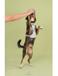 Pressure-free harness for dog COUNTRYSIDE