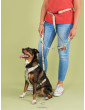 Pressure-free harness for dog COUNTRYSIDE