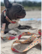 Dog leash Hau are you summer
