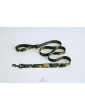 Dog leash Paradise