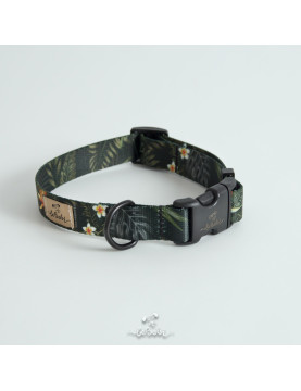 Dog collars PARADISE
