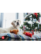 Hot chocolate - plush toy for dog