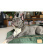 Dog bed round cushion with blanket VELVET EMERALD GREEN