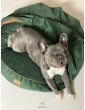 Dog bed round cushion with blanket VELVET EMERALD GREEN