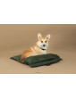 Costa roll-up dog travel bed EMERALD GREEN RECYCLING VELVET