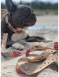 Adjustable dog leash Hau are you summer ver2