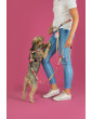 Adjustable dog leash Hau are you summer ver2