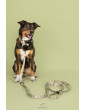 Adjustable dog leash Countryside ver2