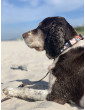 Adjustable dog leash Dog is in the air ver2