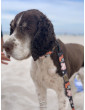 Adjustable dog leash Dog is in the air ver2