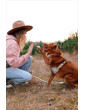 Adjustable dog leash Countryside ver2