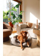 Moe dog bed DARK BEIGE RECYCLED VELVET