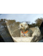 "Ero Soft" dog car seat BEIGE size S/M/L