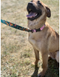 Dog collars bieGAJ