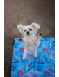 Costa roll-up travel bed SEA DOG