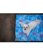 Costa roll-up travel bed SEA DOG