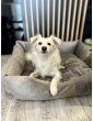 Moe dog bed DARK BEIGE RECYCLED VELVET