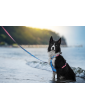 Adjustable dog leash Sea dog ver2